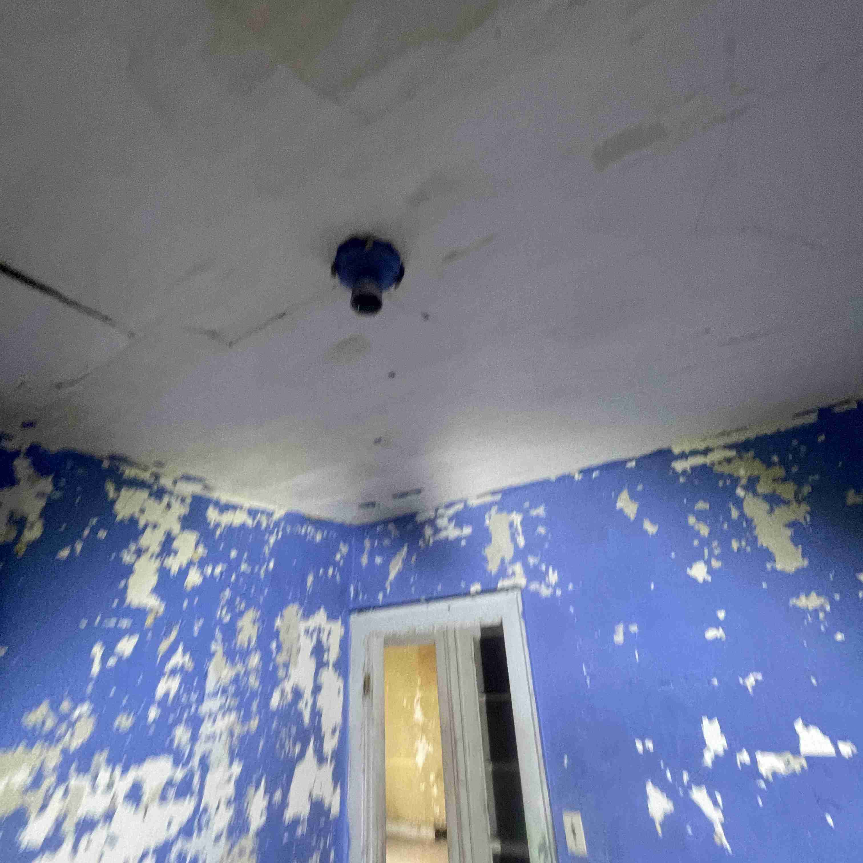 4039 Tuxedo (76).jpg